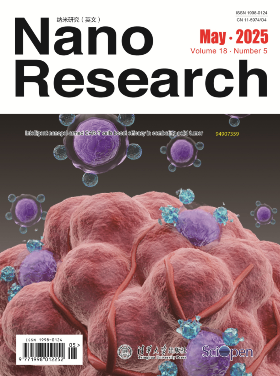 Nano+Research_18_5_Cover.png